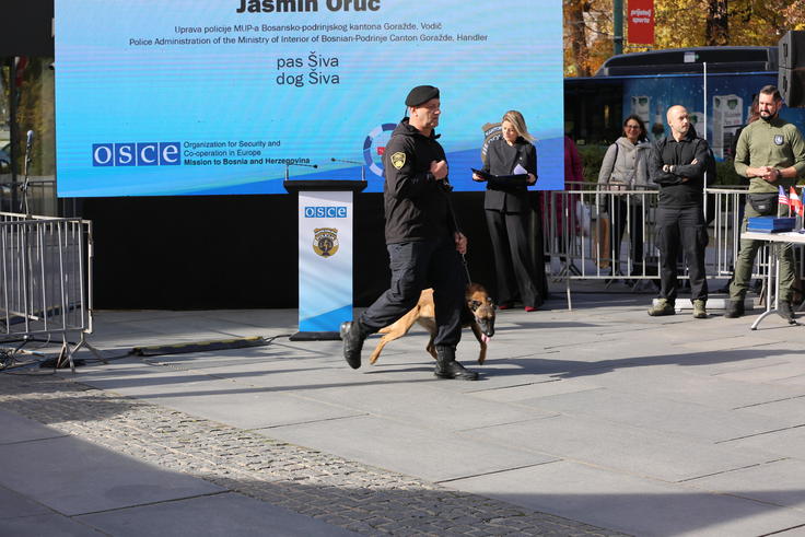 K9 presentation of skills 