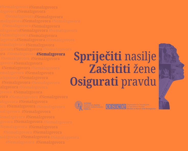 Narandžasta grafika s natpisom o sprečavanju nasilja nad ženama, silueta ženskog lica u profilu.
