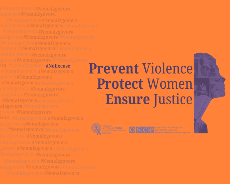 Orange graphic with text: "Prevent Violence, Protect Women, Ensure Justice." Features a purple silhouette of a woman.