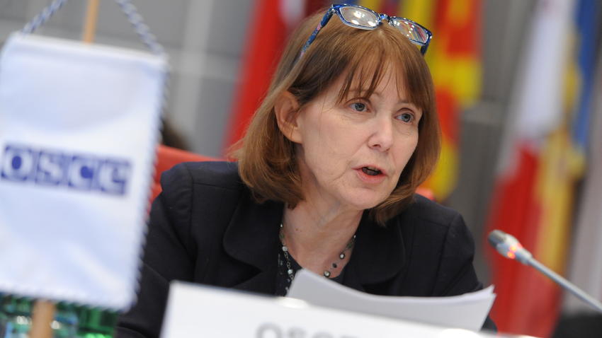 OSCE Mission to BiH calls for a Supervisory Body for implementation of ...