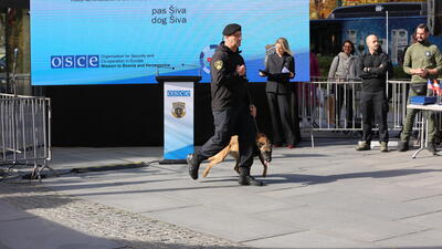 K9 presentation of skills 
