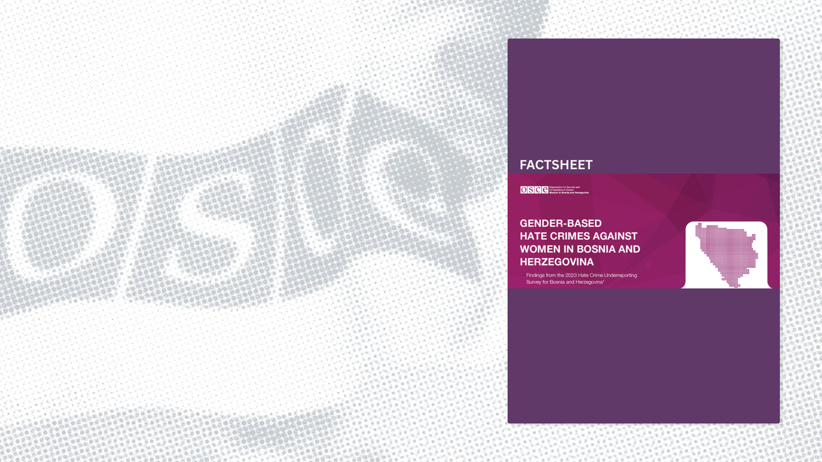 Purple factsheet cover about gender-based hate crimes against women in Bosnia and Herzegovina, featuring a map silhouette.