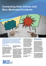 Two illustrated hands pointing at speech bubbles with symbols inside; header text reads "Combatting Hate Crimes and Bias-Motivated Incidents."