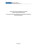 Torture, Ill-treatment and Disciplinary Proceedings in Prisons of Bosnia and Herzegovina