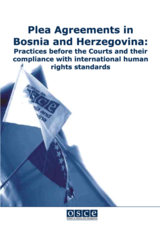 Plea Agreements in Bosnia and Herzegovina: Practices before the courts and their compliance with international human rights standards